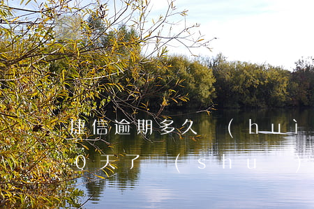 捷信逾期多久會(huì)上訴(捷信逾期10天了,說(shuō)要起訴我,是真的嗎)