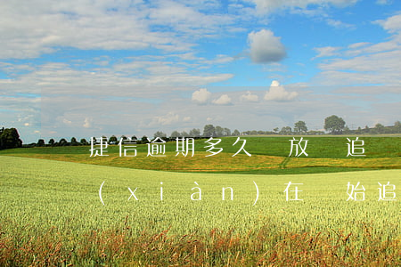 捷信逾期多久會放棄追債(捷信逾期4年了現(xiàn)在開始追賬我該還多少)