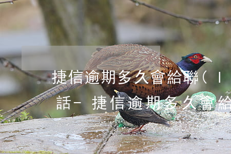 捷信逾期多久會給聯(lián)系人打電話-捷信逾期多久會給聯(lián)系人打電話通知