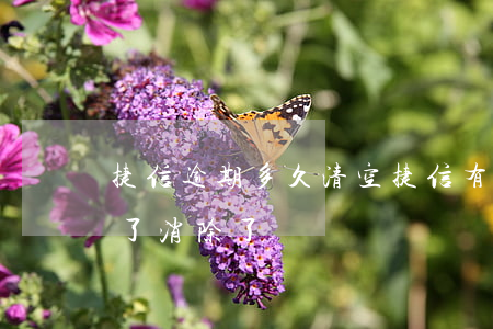 捷信逾期多久清空(捷信有逾期記錄,欠款還清了,消除了嗎)