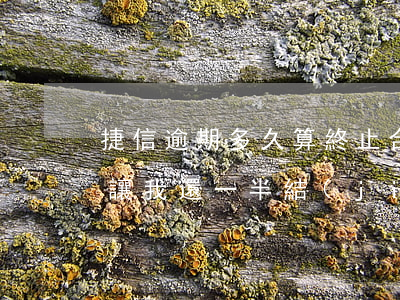 捷信逾期多久算終止合同(捷信逾期三年,公司讓我還一半結(jié)束合同)