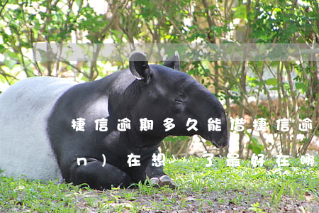 捷信逾期多久能借(捷信逾期幾年,現(xiàn)在想還了最好在哪里還)
