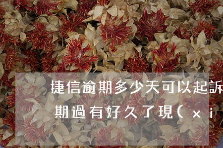 捷信逾期多少天可以起訴(以前捷信有幾天逾期過有好久了現(xiàn)在能辦嗎)
