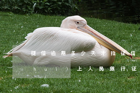 捷信逾期多少天才拉征信(捷信逾期多久會(huì)上人民銀行征信報(bào)告)