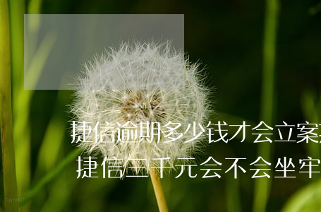 捷信逾期多少钱才会立案(捷信逾期会坐牢欠捷信三千元会不会坐牢)