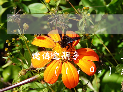 捷信逾期多長時間會上門(捷信一般逾期多久會聯(lián)系你其他聯(lián)系人)