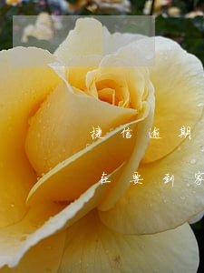 捷信逾期多长时间会家访(捷信逾期一年了现在要到家里去怎么办)