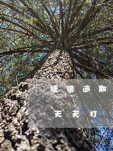 捷信逾期天天打電話催款合法嗎-捷信逾期天天打電話催款合法嗎是真的嗎