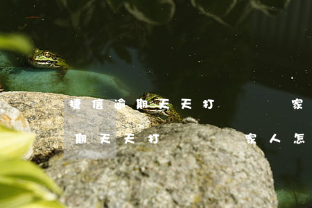 捷信逾期天天打電話給家人怎么辦-捷信逾期天天打電話給家人怎么辦理