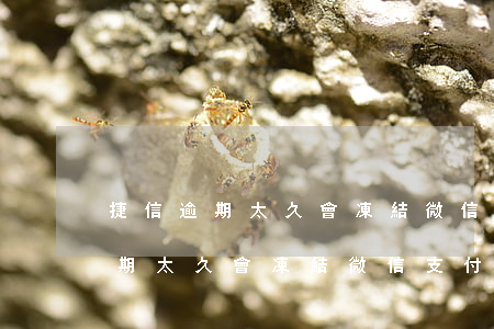 捷信逾期太久會凍結微信支付寶嗎-捷信逾期太久會凍結微信支付寶嗎安全嗎