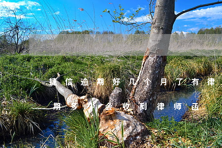 捷信逾期好几个月了有律师所打电话（捷信逾期多少会收到律师函）