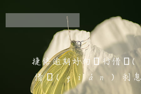 捷信逾期好向銀行借錢(qián)嗎(捷信借錢(qián)利息高嗎)