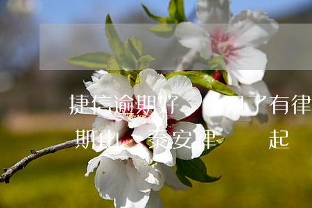 捷信逾期好幾個月了有律師所打電話（捷信逾期山東泰安律師說起訴）