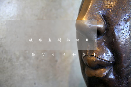 捷信逾期如何協(xié)商還本金(捷信逾期了可以和他們協(xié)商還款日期嗎?)