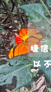 捷信逾期寄催收信怎么辦(收到捷信催款函可以不理嗎)