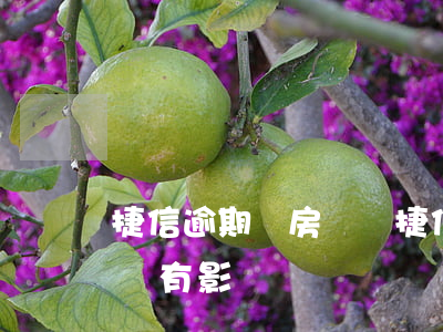 捷信逾期對房貸嗎(捷信金融貸款逾期了兩天會有影響嗎?)