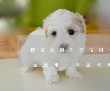 捷信逾期對辦信用卡有副作用嗎(捷信逾期對辦信用卡有副作用嗎)