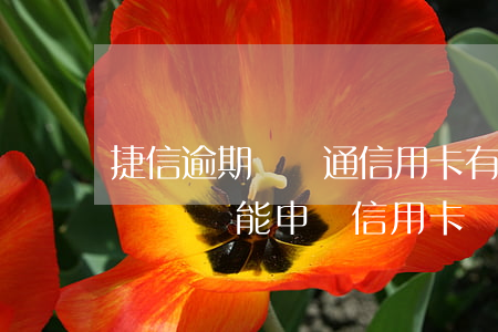 捷信逾期對開通信用卡有影響嗎 有捷信逾期記錄還能申請信用卡嗎