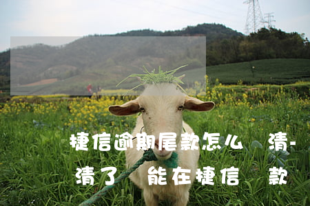 捷信逾期尾款怎么還清-捷信逾期過但是還清了還能在捷信貸款嗎