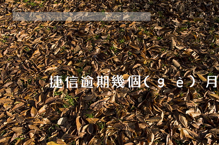 捷信逾期幾個(gè)月起訴
