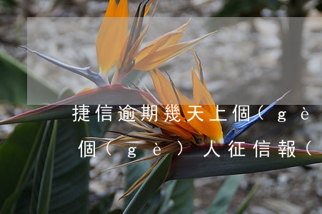 捷信逾期幾天上個(gè)人征信(捷信逾期,個(gè)人征信報(bào)告會(huì)不會(huì)有顯示)