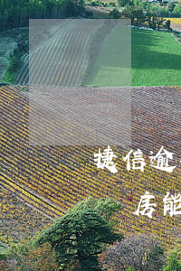 捷信逾期幾天上征信(捷信逾期幾天上征信了買房能貸款嘛)