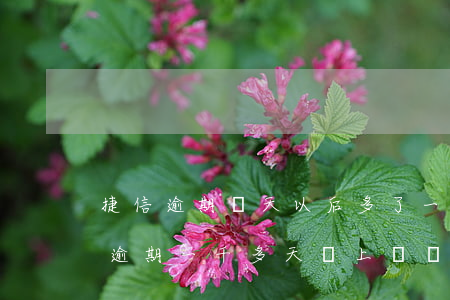 捷信逾期幾天以后多了一千多什么情況（捷信逾期一千多天會上門嗎）