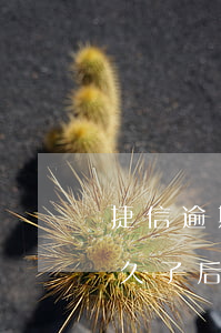 捷信逾期幾天就會被起訴(有沒有捷信逾期很久了,后來是怎么處理的)