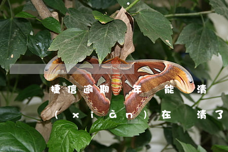 捷信逾期幾年還能還清嗎(捷信逾期一年多,現(xiàn)在還清了,還清后幾年捷信可以用啊)