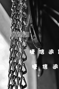 捷信逾期影響個(gè)人信譽(yù)嗎(捷信逾期被列入失信人以后都會(huì)影響什么)