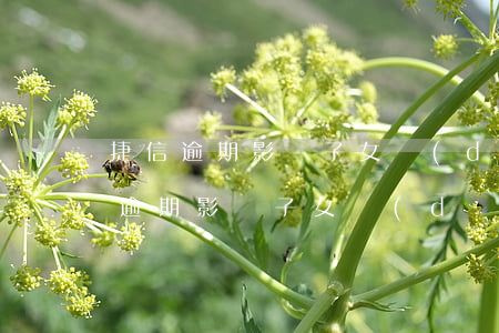 捷信逾期影響子女當(dāng)兵嗎(捷信逾期影響子女當(dāng)兵嗎)