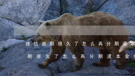 捷信逾期很久了怎么再分期還本金-捷信逾期很久了怎么再分期還本金呢