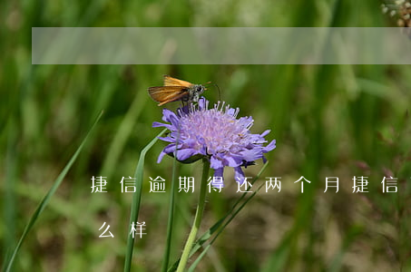 捷信逾期得还两个月 捷信两个月没还了会怎么样