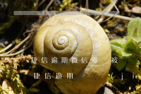 捷信逾期微信零錢被凍結(jié)怎么辦(捷信逾期會凍結(jié)微信)