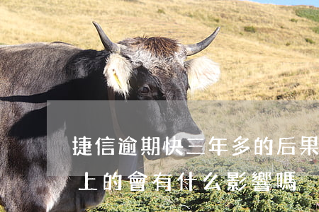 捷信逾期快三年多的后果(捷信逾期3天后還上的,會有什么影響嗎)