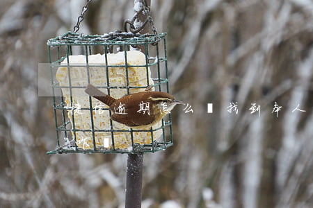 捷信逾期怎么會找到本人(捷信人員到家來查咋辦)