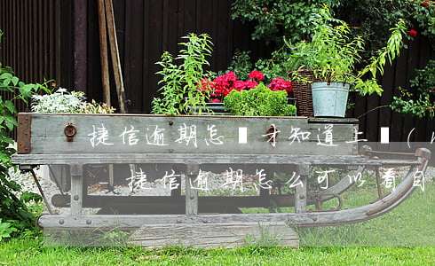捷信逾期怎樣才知道上沒(méi)上征信-捷信逾期怎么可以看自己有沒(méi)有上征信
