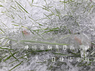 捷信逾期房貸拒了(捷信逾期不還會(huì)怎么樣?捷信逾期后果很嚴(yán)重嗎?)