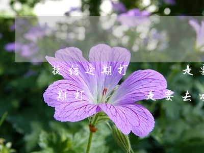 捷信逾期打電話說是要去家里錄像-捷信逾期打電話說是要去家里錄像是真的嗎