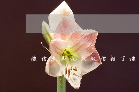 捷信逾期把我微信封了(捷信说要冻结我微信)