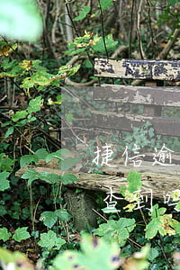 捷信逾期支付宝能查到吗(捷信逾期支付宝能查到吗)