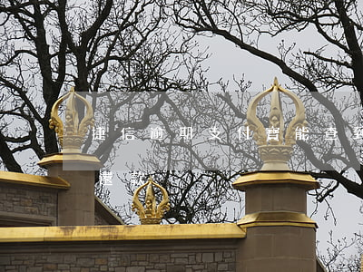 捷信逾期支付寶能查到嗎(捷信怎么查別人的還款)