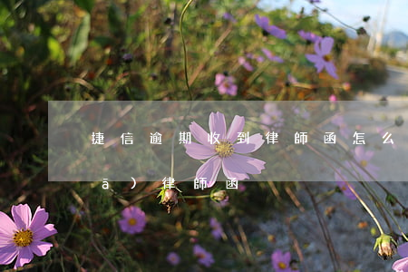 捷信逾期收到律師函怎么辦(捷信一直發(fā)律師函)