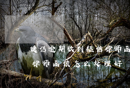 捷信逾期收到短信律师函(捷信逾期收到短信律师函,该怎么处理好)