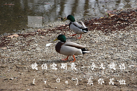 捷信逾期最長多久(捷信一般逾期多久會聯(lián)系你其他聯(lián)系人)