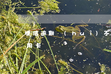 捷信逾期會(huì)不會(huì)封信用卡