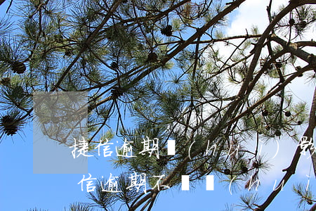 捷信逾期會(huì)影響其他信用卡嗎(捷信逾期不還會(huì)影響信用卡嗎)