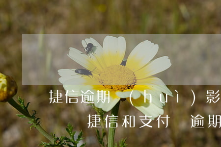 捷信逾期會(huì)影響支付寶的花唄借唄嗎?（捷信和支付寶逾期上征信嗎）