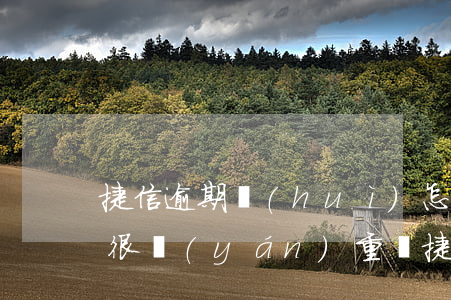 捷信逾期會(huì)怎么樣?捷信逾期后果很嚴(yán)重嗎?（捷信逾期法院管不管）