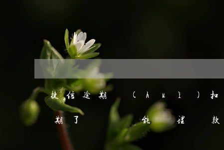 捷信逾期會(huì)扣名下的車嗎(捷信逾期了買車還能辦理貸款買車么)